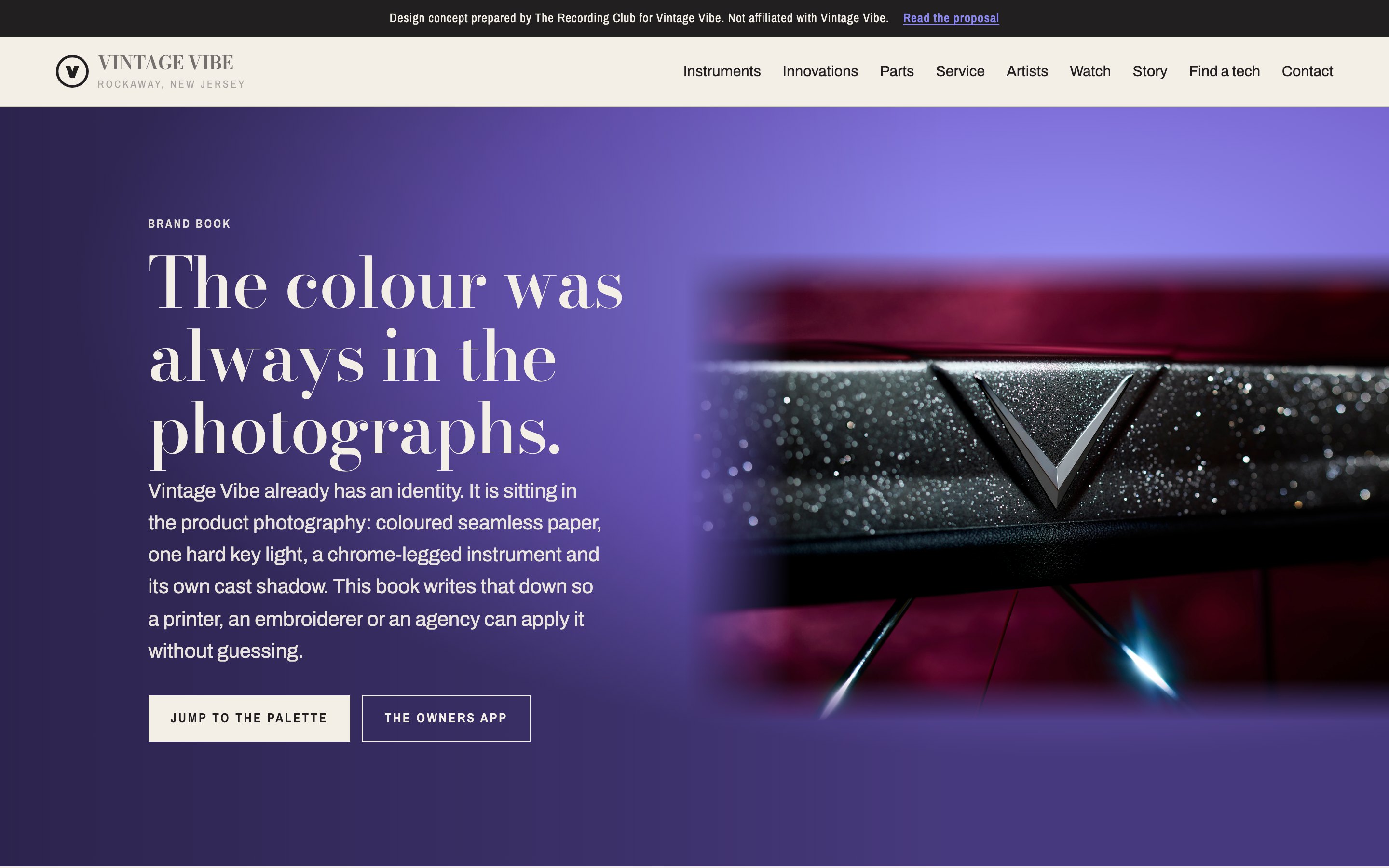 The Vintage Vibe brand book concept